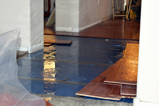 Professional Basement Flood Cleanup technician working in Fontana, WI